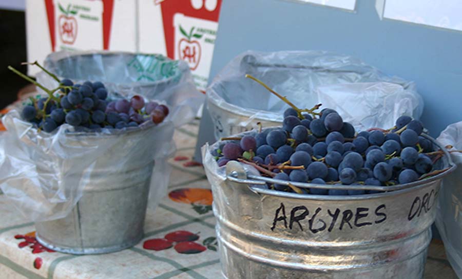Argyres Orchard