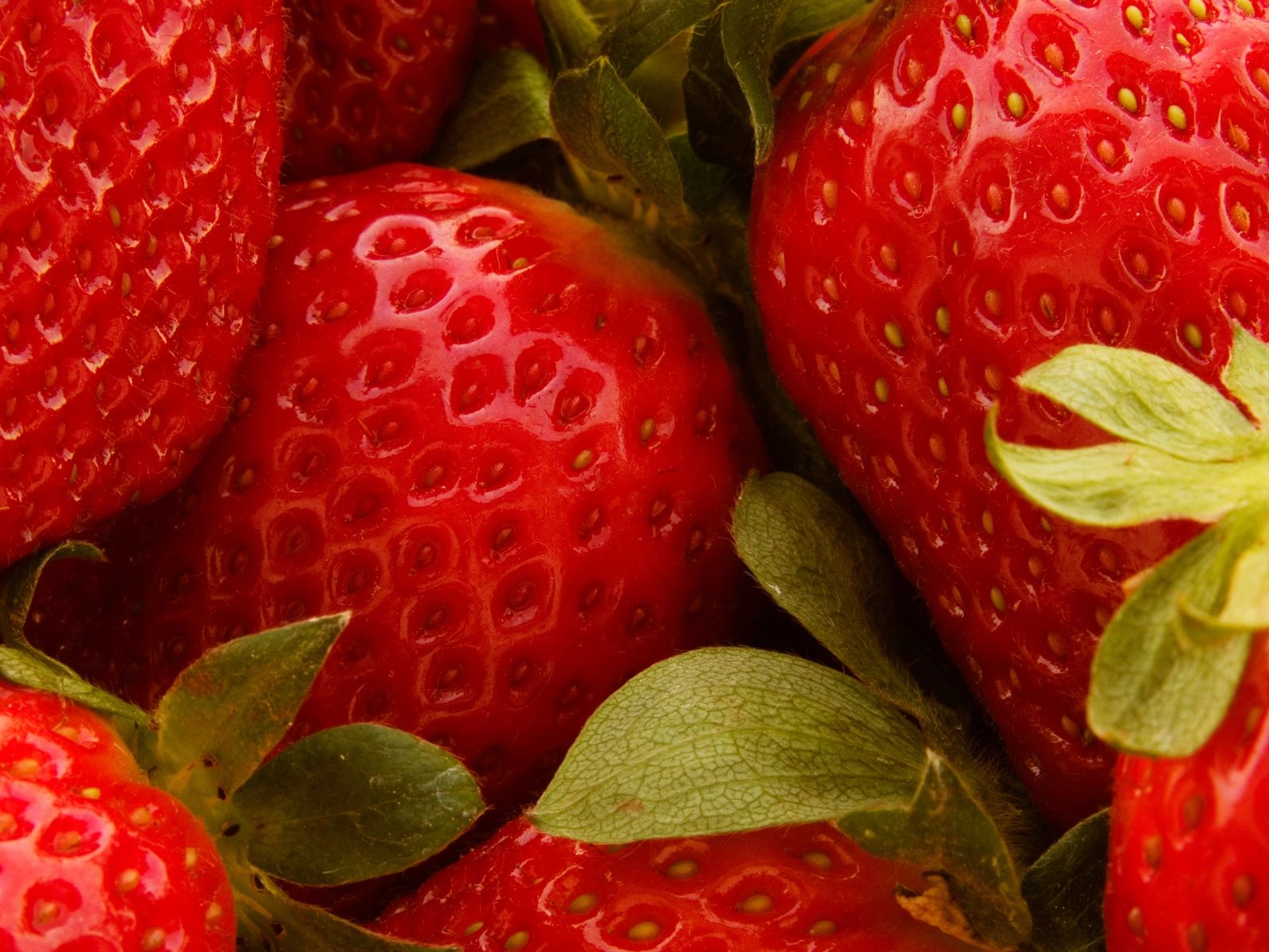 Becky's Berries