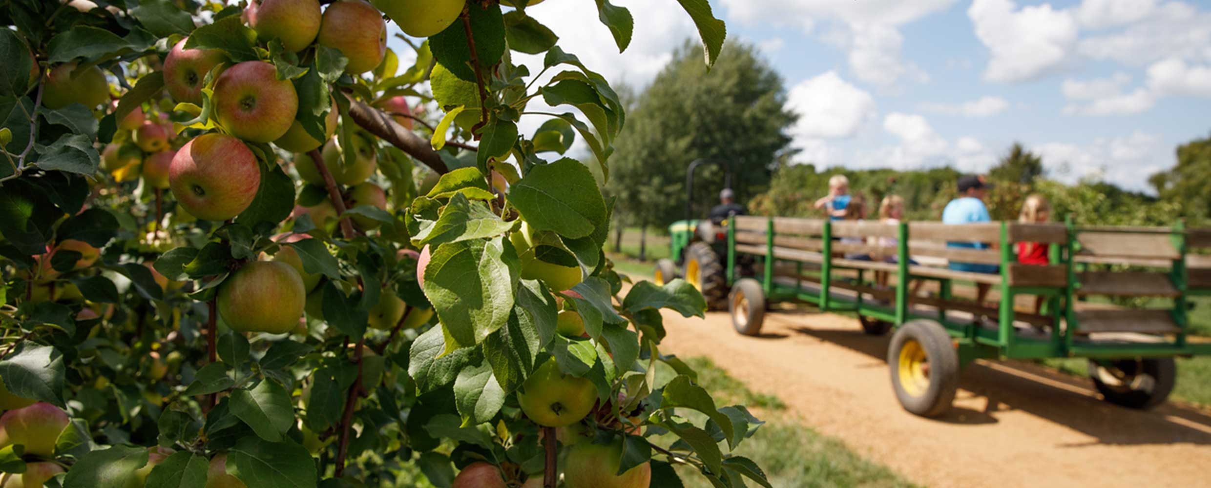Ferguson's Orchards Galesville