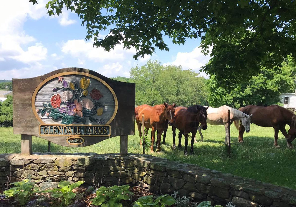 Glendale Farms