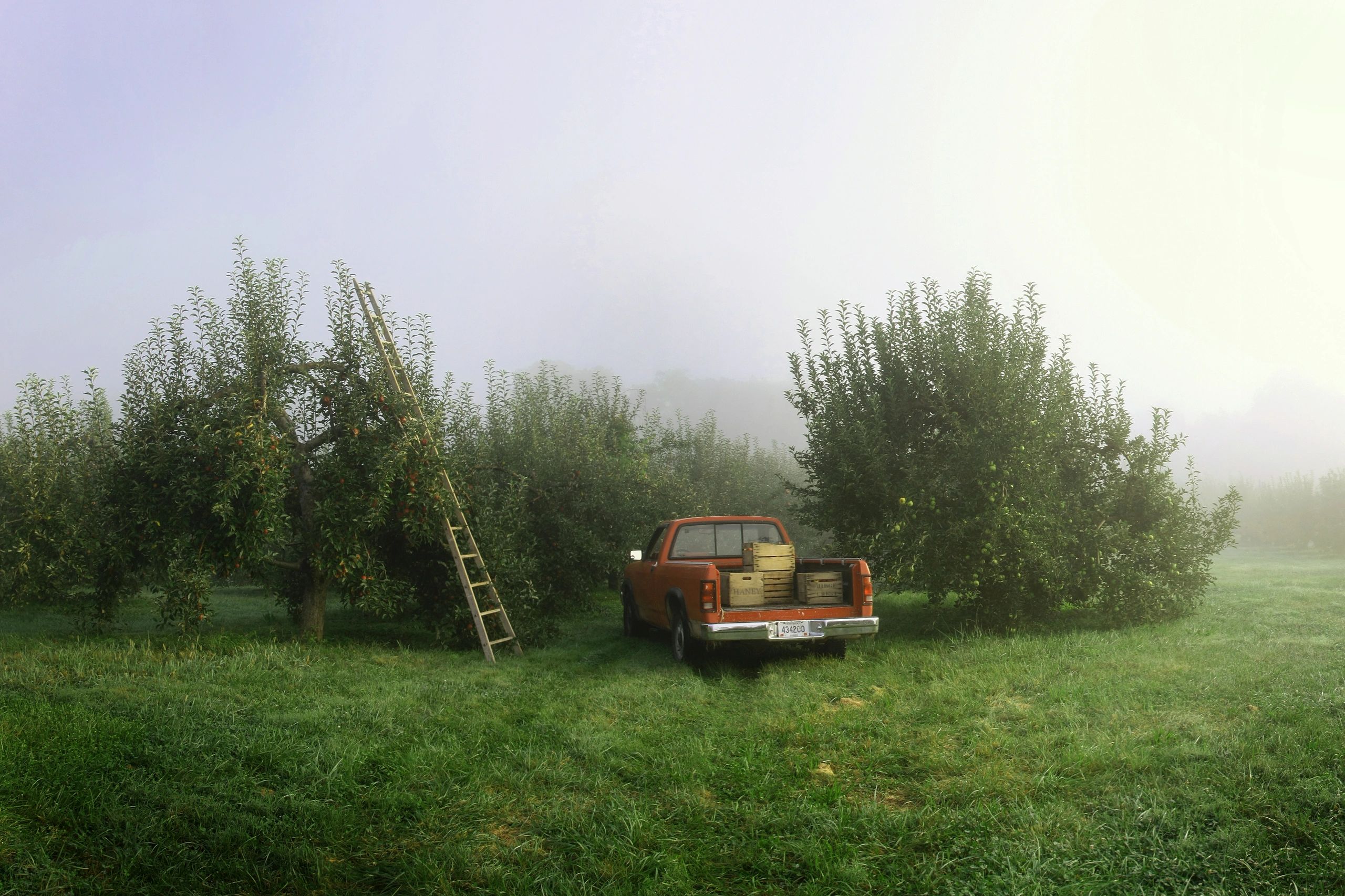 Haney's Appledale Farm