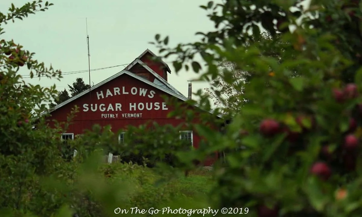 Harlow's Sugar House