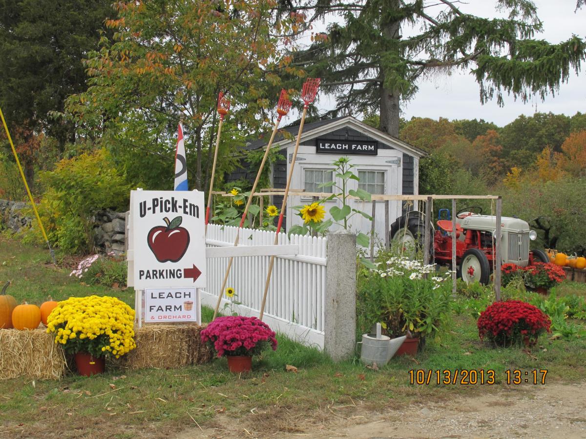Leach Farm and Orchard