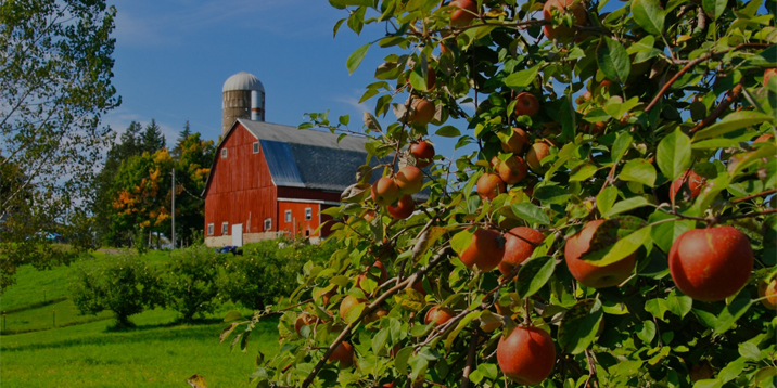 Pleasant Valley Orchard